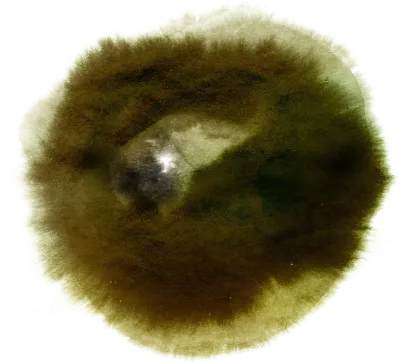 biz_130925_st_sj_04