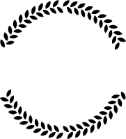 get_1151793828_200120_vt_sh_29