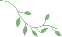 get_a11989068_200318_vt_in_13