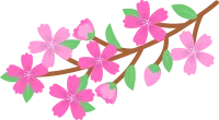 get_a11981788_200219_vt_in_04
