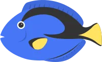 get_a12018312_200520_vt_sh_07