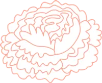 uto_21157274_200420_st_sh_15