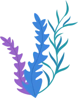 get_a12018312_200520_vt_sh_08