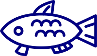 uni_get_964147740_200826_vt_ejk_2