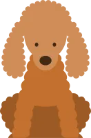 get_933638246_200813_st_sh_21