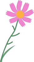 get_a11865823_200902_vt_in_03