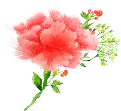 get_a10390696_st_sg_01