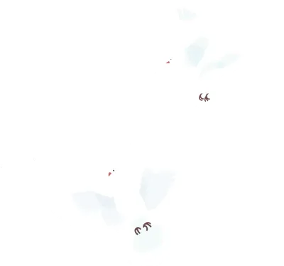 get_a8484513_st_jhk_01