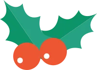 get_a11197105_201125_vt_sj_01