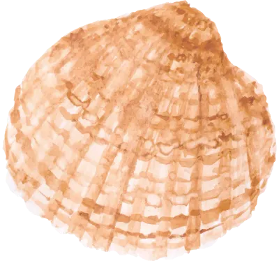 get_475563566_st_jhk_03