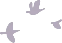 get_a12123024_201218_vt_sj_07
