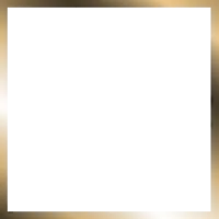 get_1132102274_vt_sj_01