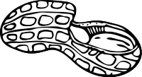 get_1178451968_210115_vt_sh_04