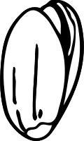 get_1178451968_210115_vt_sh_06