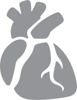 get_1264289806_210118_vt_sh_60