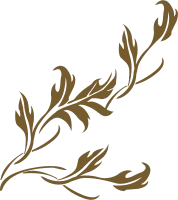 get_a11940179_210115_vt_sh_41