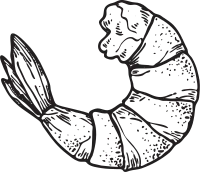 get_925447548_210326_vt_sh_51