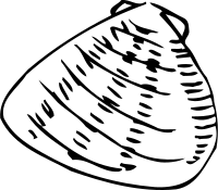 get_1018091870_210216_vt_sh_07
