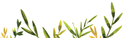 get_517190846_st_jh_04