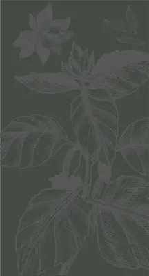 get_643707774_st_jh_02