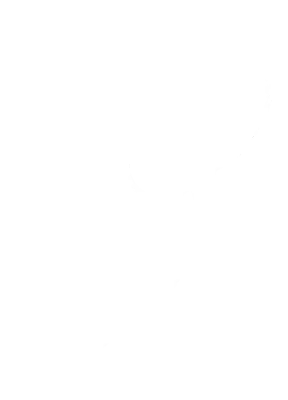 biz_170210_st_rr_9