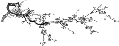 get_452260215_st_jhk_b01