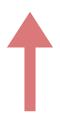 biz_170528_st_yj_124