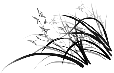 get_452260215_st_jhk_b02