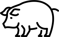 get_1267633994_210702_vt_sh_152