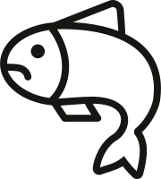 get_1139182107_210822_vt_sh_130