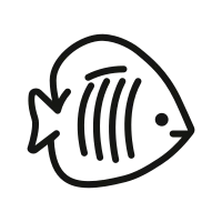 get_1207382469_211027_sh_vt_10