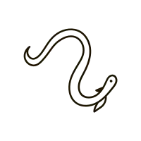 get_1188601048_211025_vt_sh_379