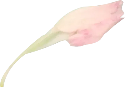uto_20555447_st_hb_05