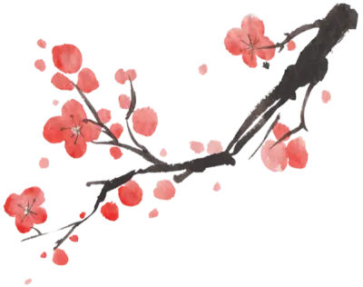uto_20490032_st_hj_01