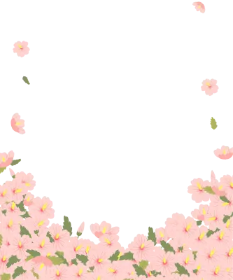 get_jv11340206_st_jy_02