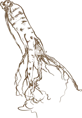 uto_20554479_180921_st_hs_02