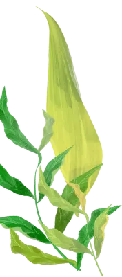 get_jv11142337_st_sb_02