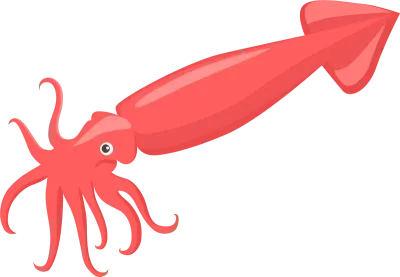 uto_20272879_st_sy_56
