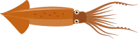 오징어