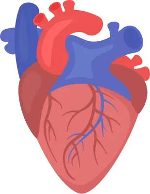 get_1069204548_st_sh_34