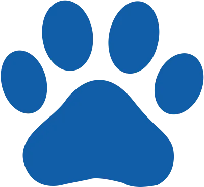 get_468161258_st_sh_04