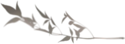 get_jv11338208_191212_st_sa_02