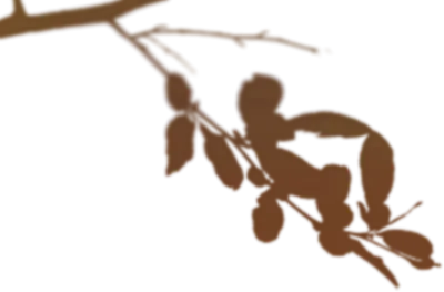 get_jv11338205_191212_st_sa_04