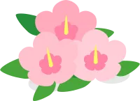 경건한 참배