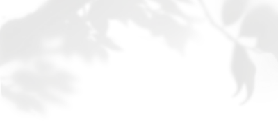 get_jv11347155_191212_st_sa_03