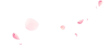 uto_20344026_191224_st_sa_04