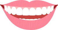 건강한 치아