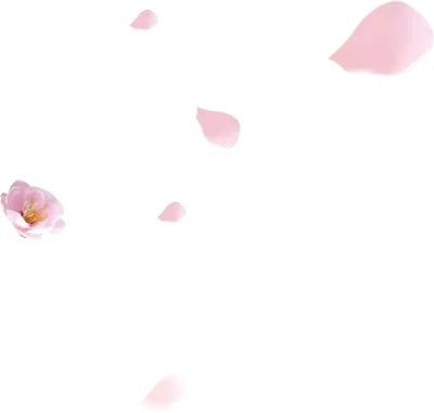 uto_21024618_191216_st_sa_01