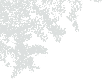 get_jv11922918_191126_st_hz_01