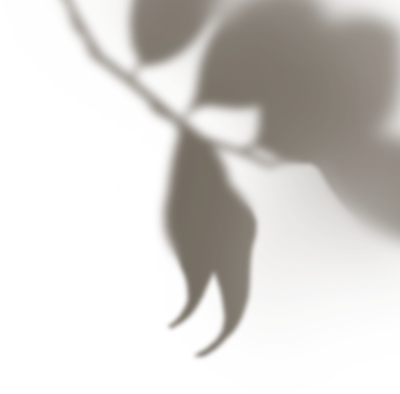 get_jv11338203_191212_st_sa_01